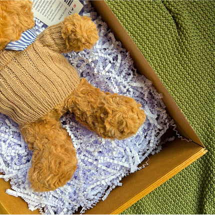 ⭐️PLUSZOWY MIŚ W OZDOBNYM PUDEŁKU – IDEALNY NA PREZENT DLA DZIECKA⭐️